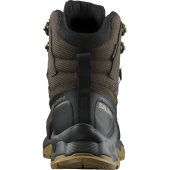 Черевики туристичні SALOMON Quest Element GTX, Коричневий 42 2/3