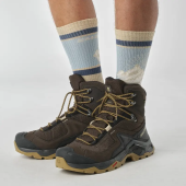 Черевики туристичні SALOMON Quest Element GTX, Коричневий 42 2/3