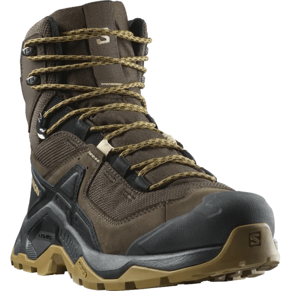 Черевики туристичні SALOMON Quest Element GTX, Коричневий 46